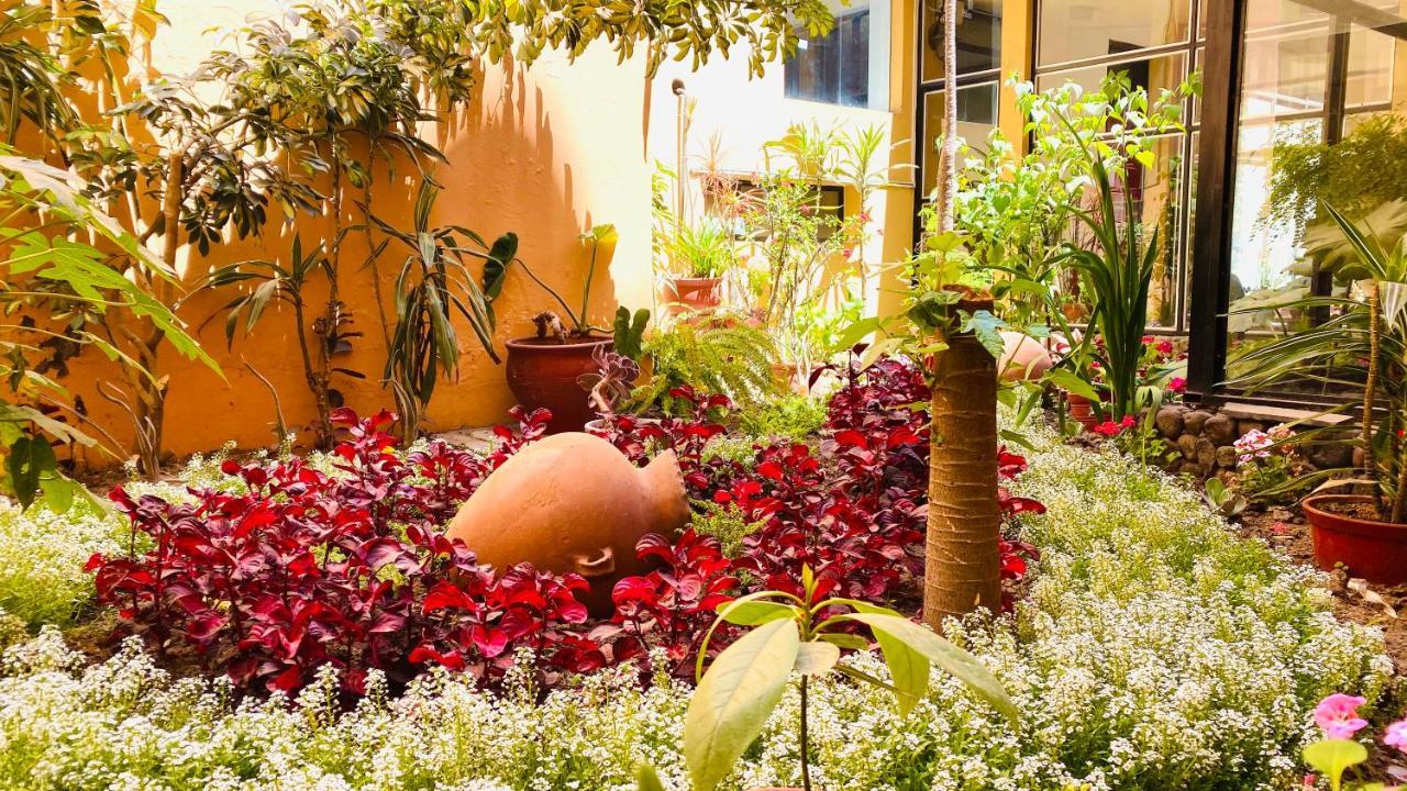 Arequipa Inn Exterior photo